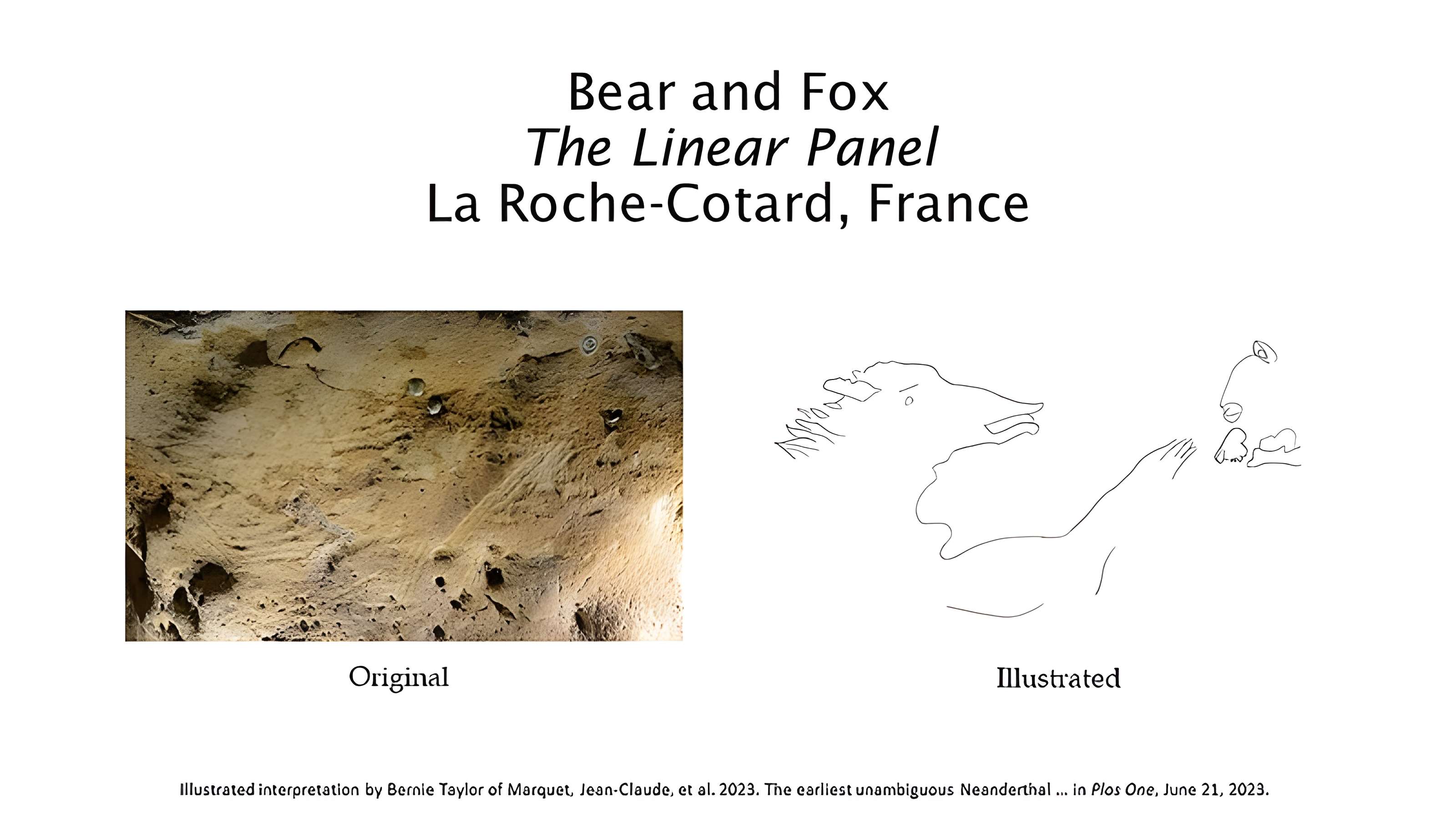 Gisement paléolithique de la Roche-Cotard