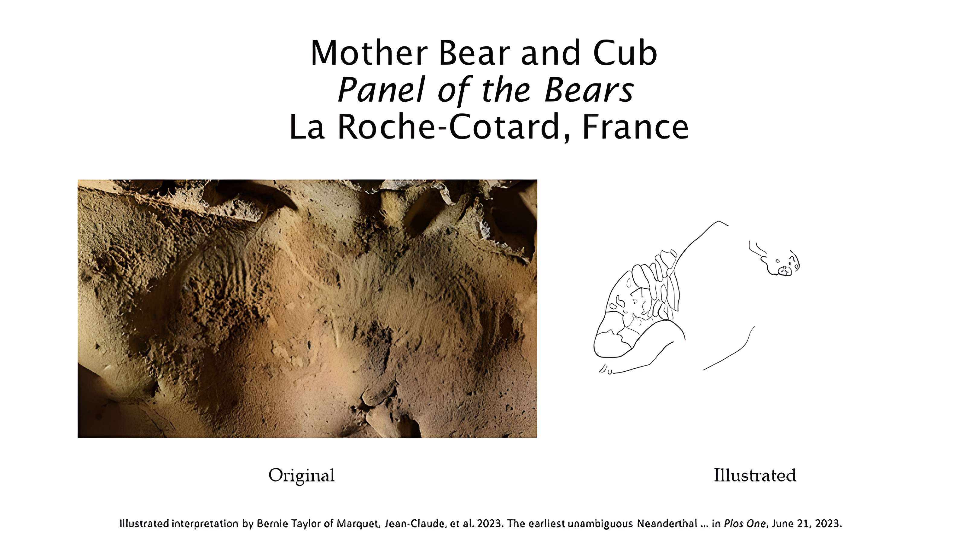 Gisement paléolithique de la Roche-Cotard