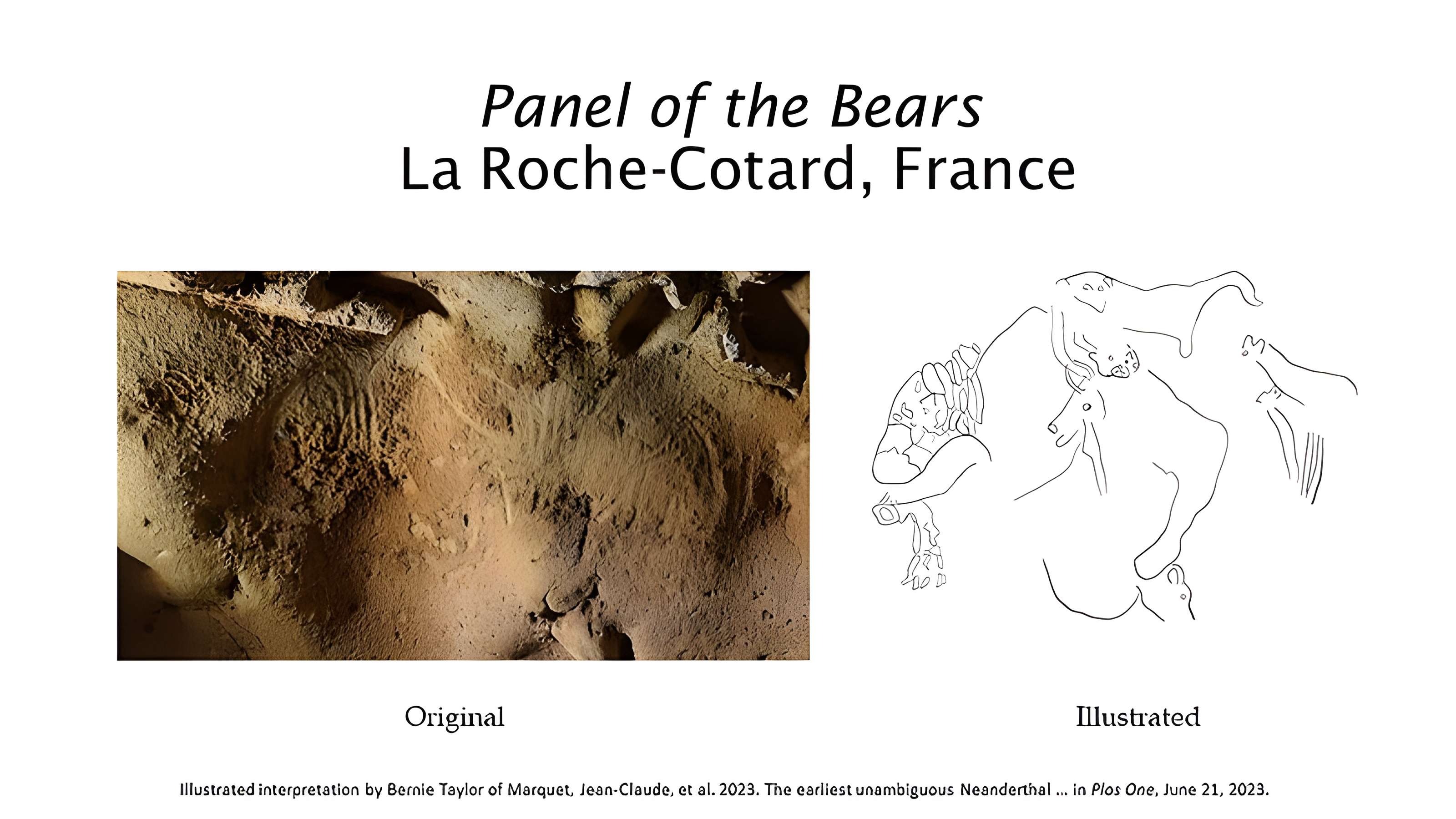 Gisement paléolithique de la Roche-Cotard