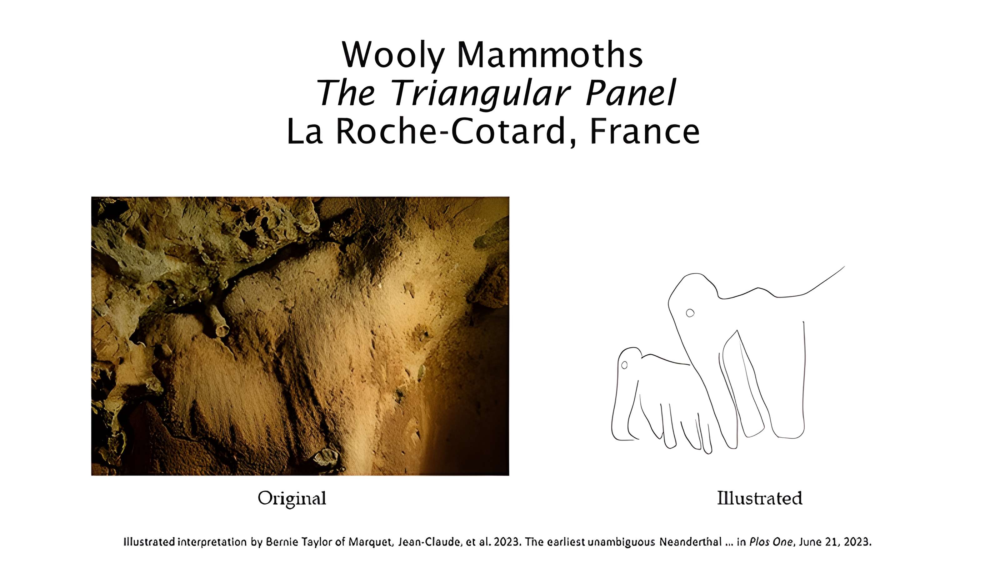 Gisement paléolithique de la Roche-Cotard