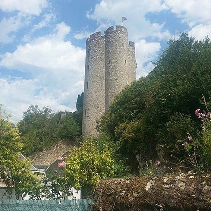 Photo de Site castral de Montbazon