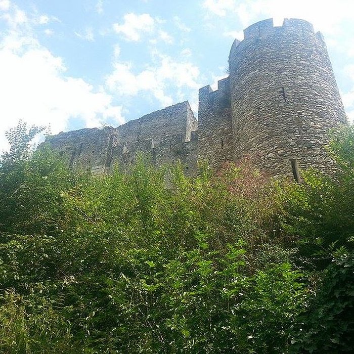 Photo de Site castral de Montbazon