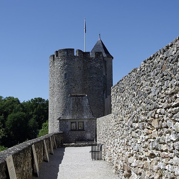 Photo de Site castral de Montbazon