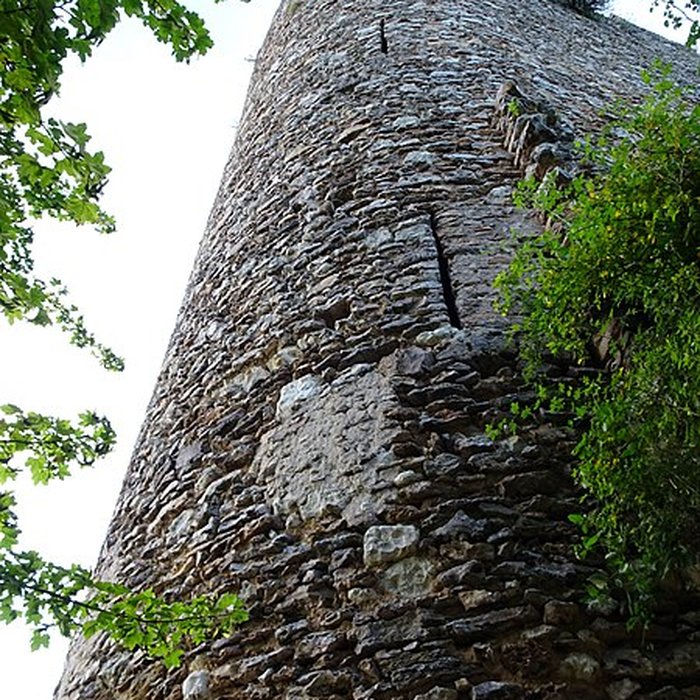 Photo de Site castral de Montbazon