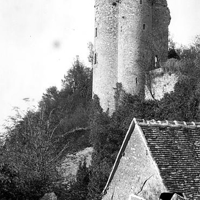 Photo de Site castral de Montbazon