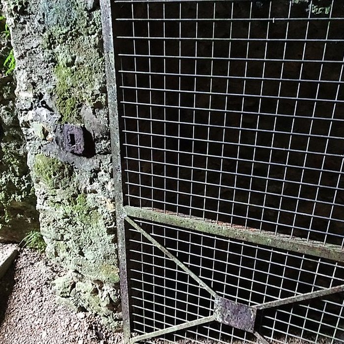 Photo de Site castral de Montbazon