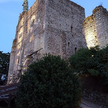 Site castral de Montbazon