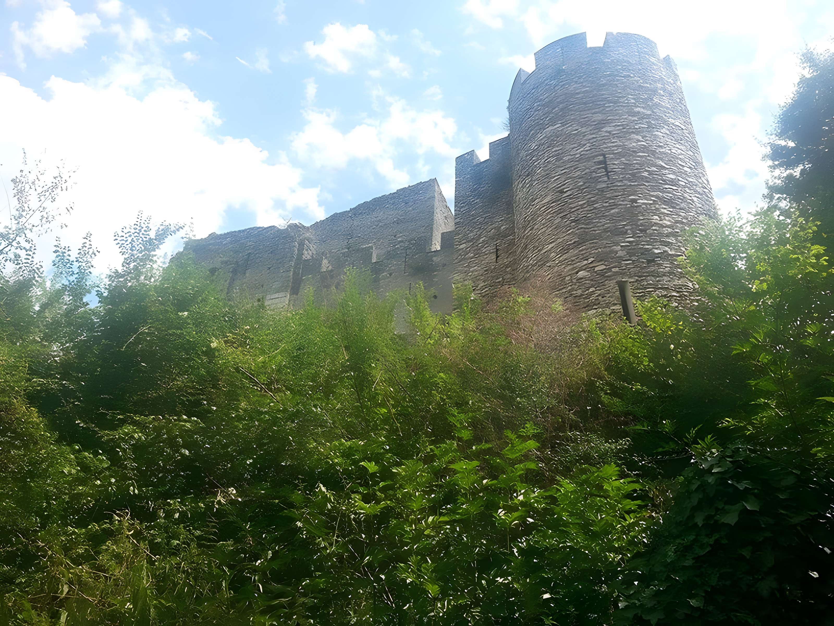 Site castral de Montbazon