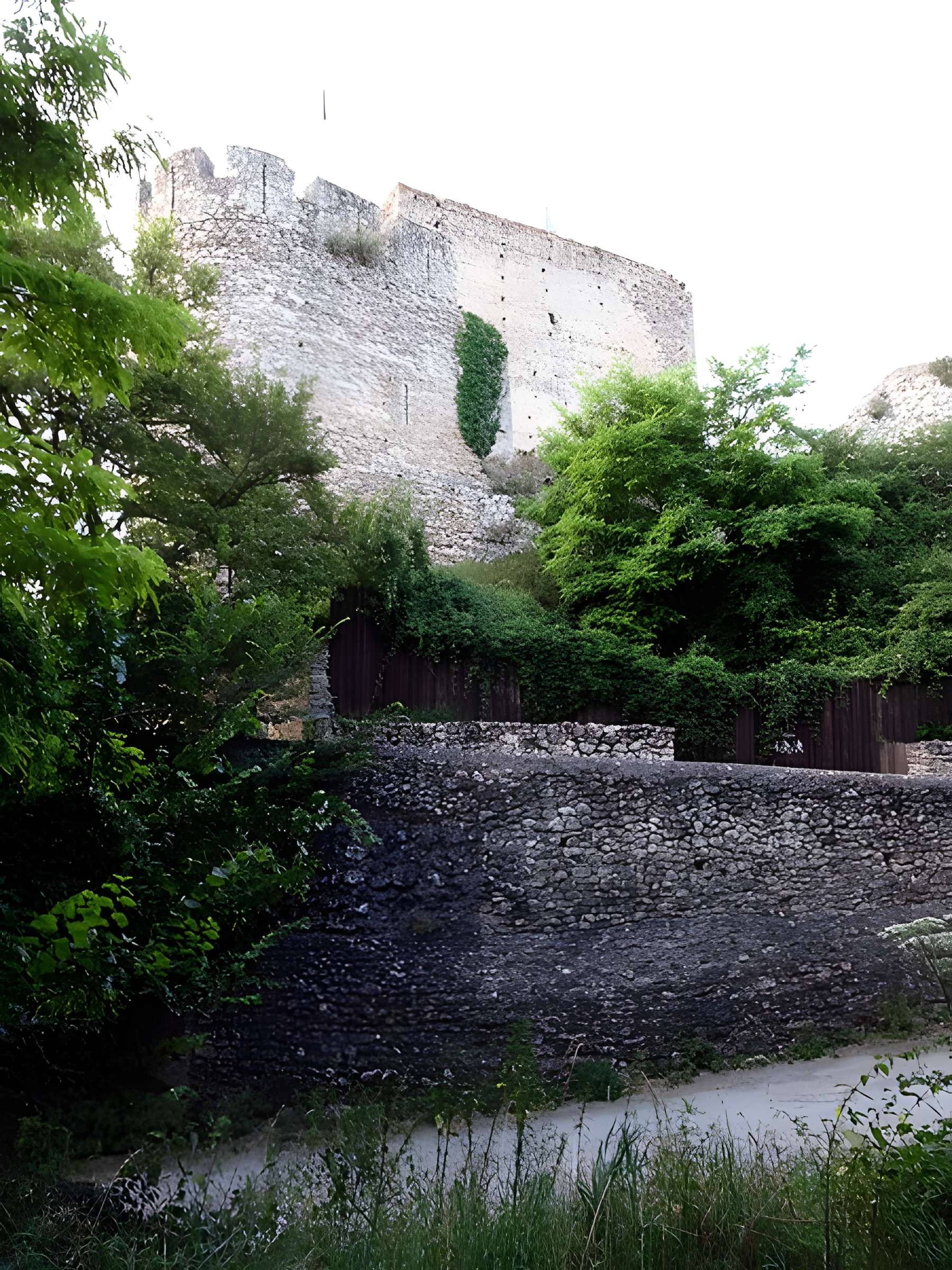 Site castral de Montbazon