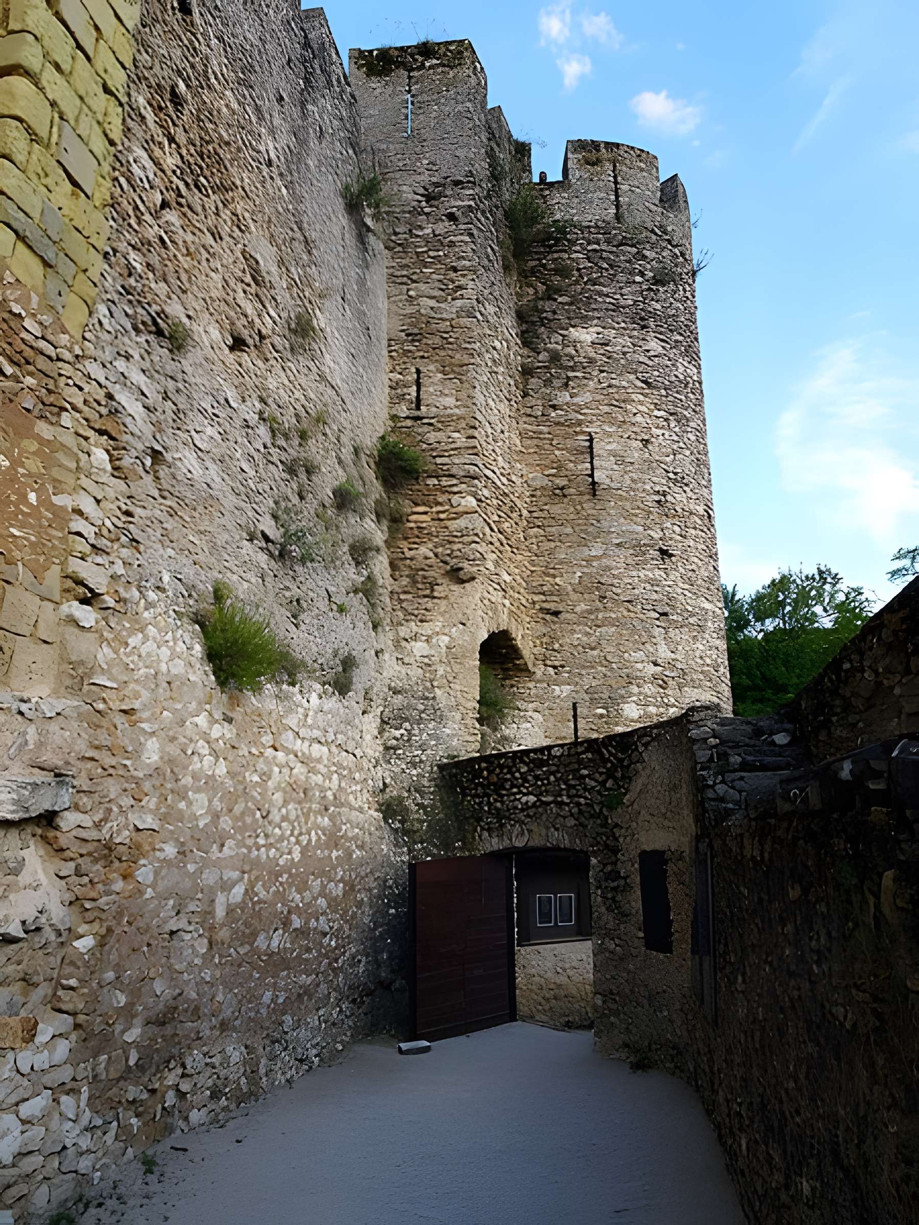 Site castral de Montbazon