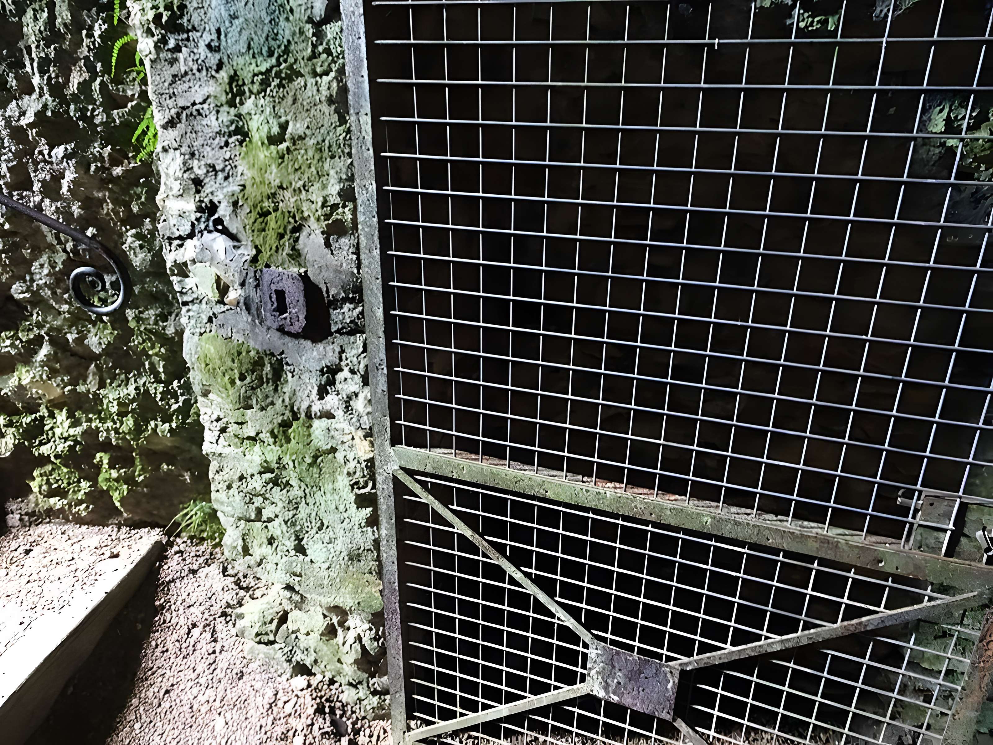 Site castral de Montbazon