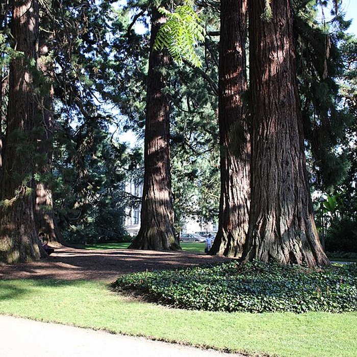 Photo de Jardin des Prébendes dOé