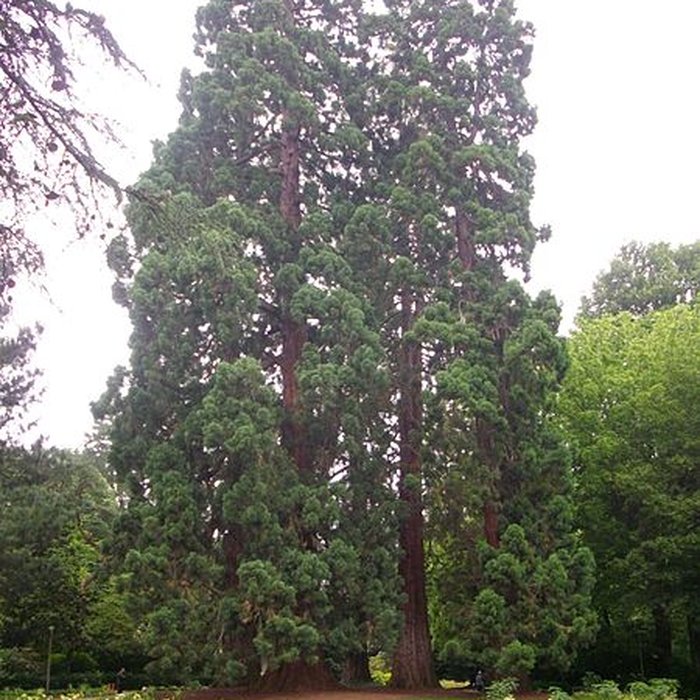 Photo de Jardin des Prébendes dOé