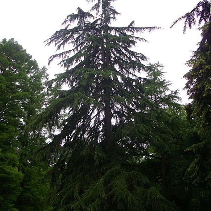 Photo de Jardin des Prébendes dOé