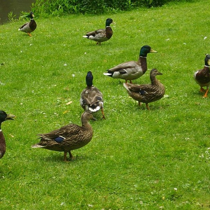 Photo de Jardin des Prébendes dOé