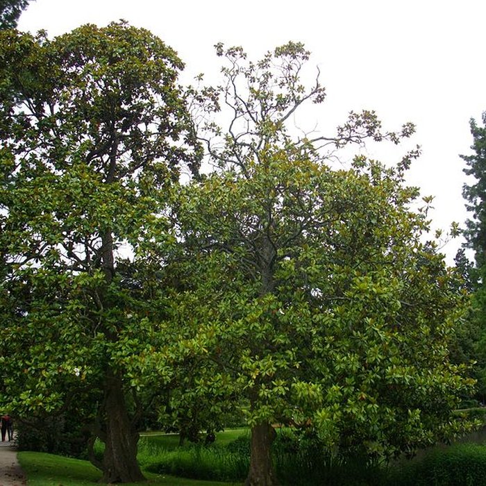 Photo de Jardin des Prébendes dOé