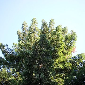 Jardin des Prébendes dOé