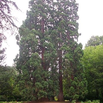 Jardin des Prébendes dOé