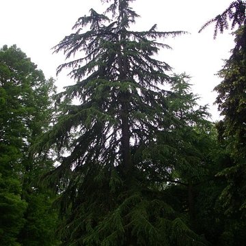 Jardin des Prébendes dOé