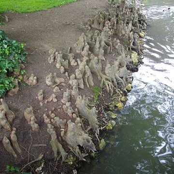 Jardin des Prébendes dOé