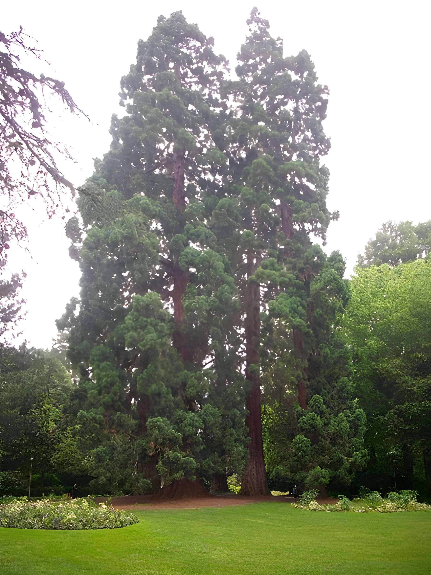 Jardin des Prébendes d'Oé