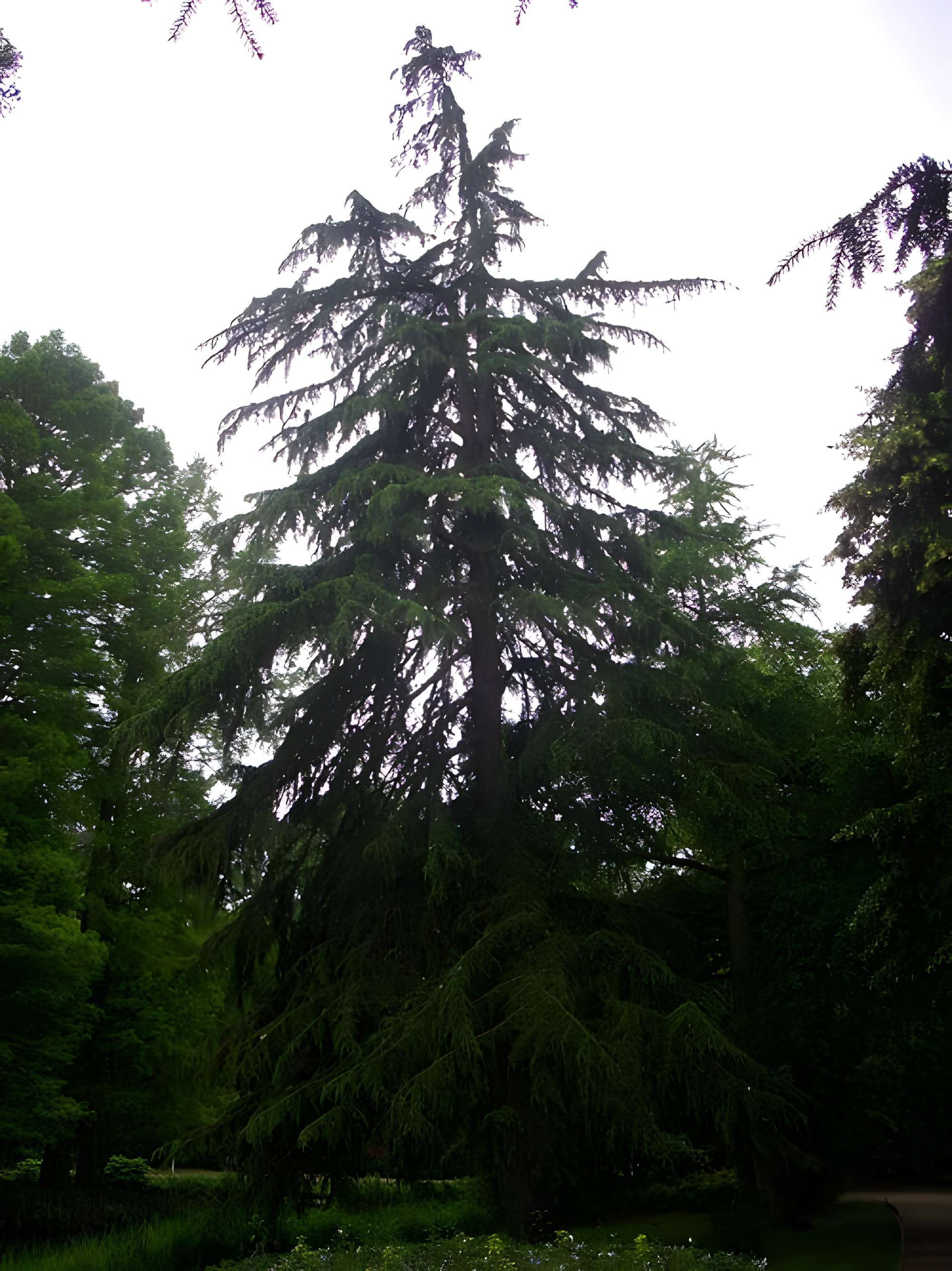 Jardin des Prébendes d'Oé