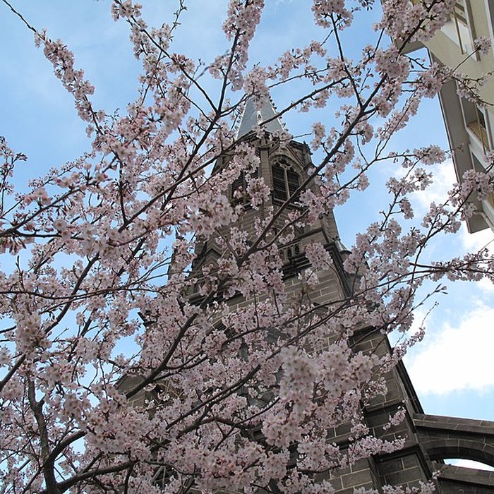 Photo de Église Saint-Eutrope de Clermont-Ferrand
