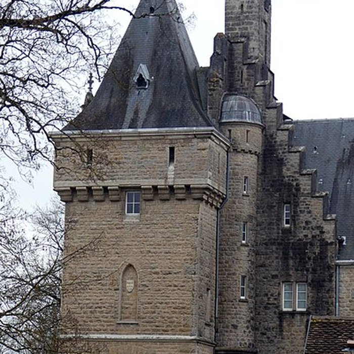 Photo de Château de Lancin