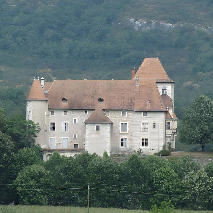 Photo de Château de Mérieu