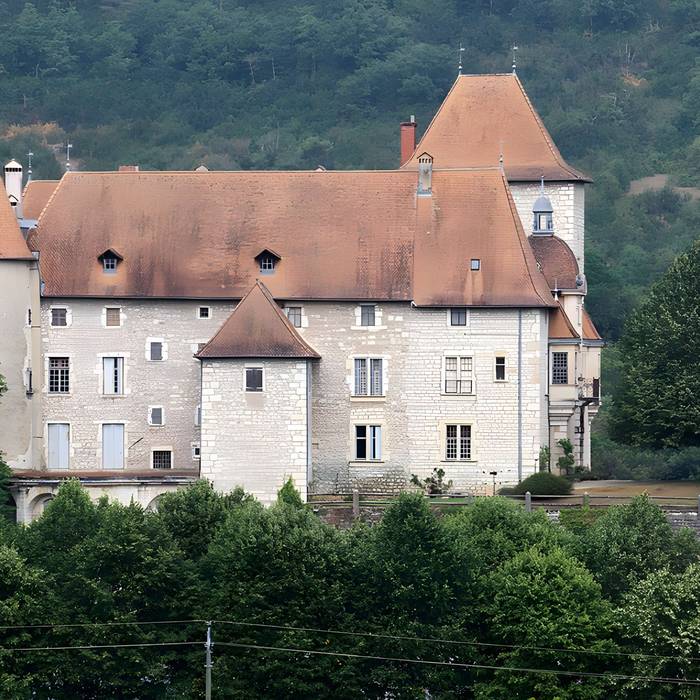 Photo de Château de Mérieu