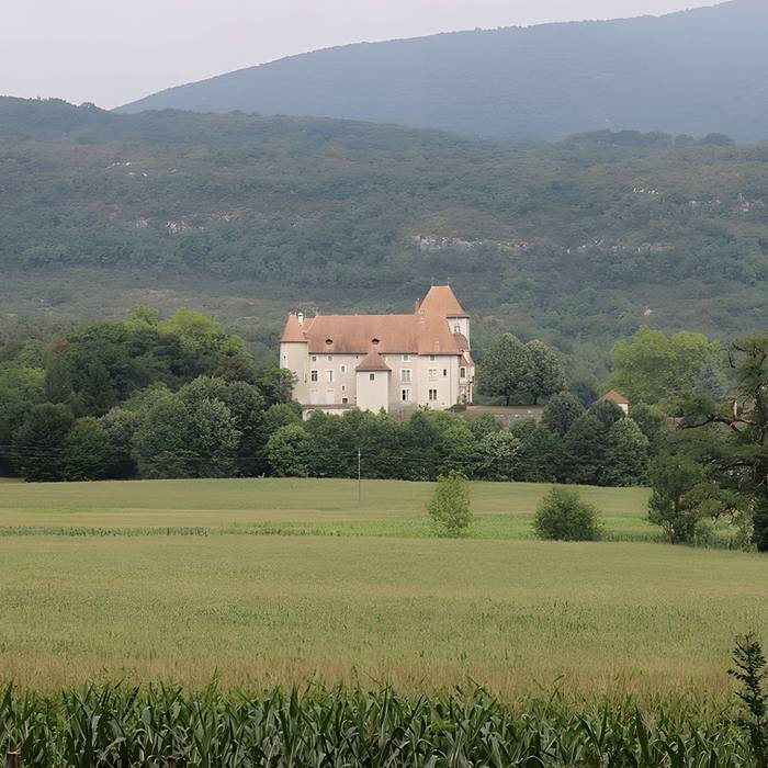 Photo de Château de Mérieu