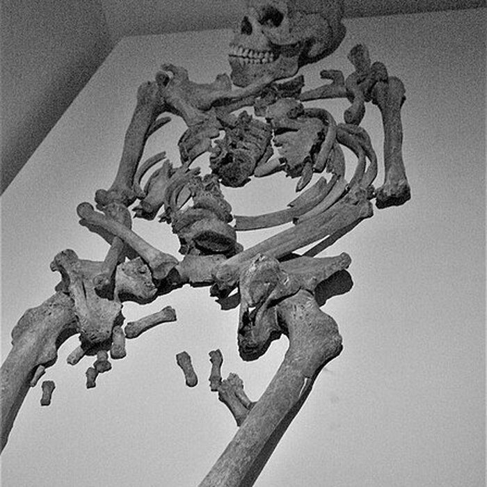 Photo de Portion du site typique déperon