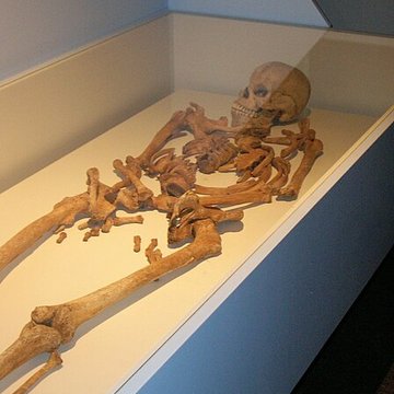 Portion du site typique déperon