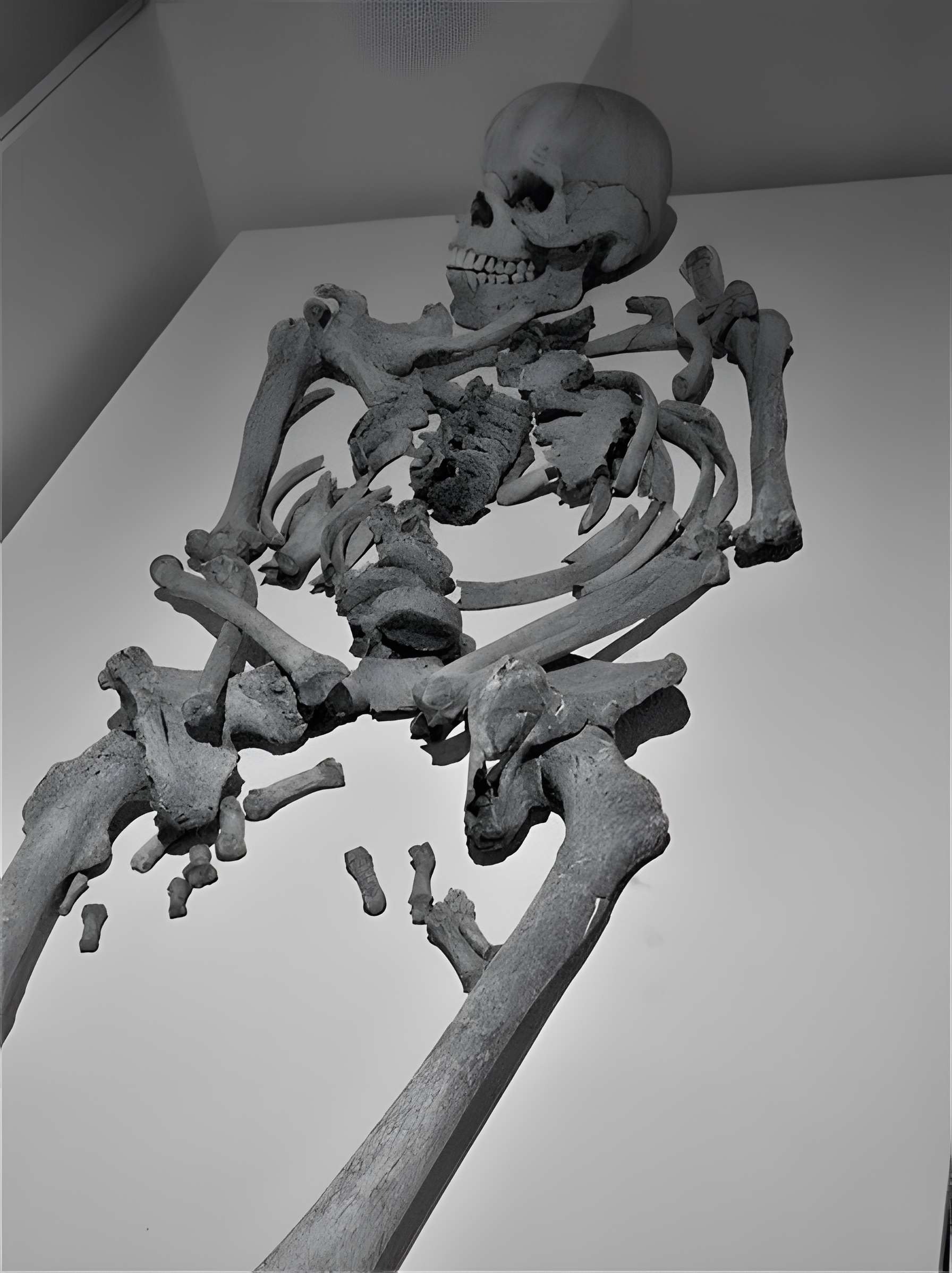 Portion du site typique d'éperon