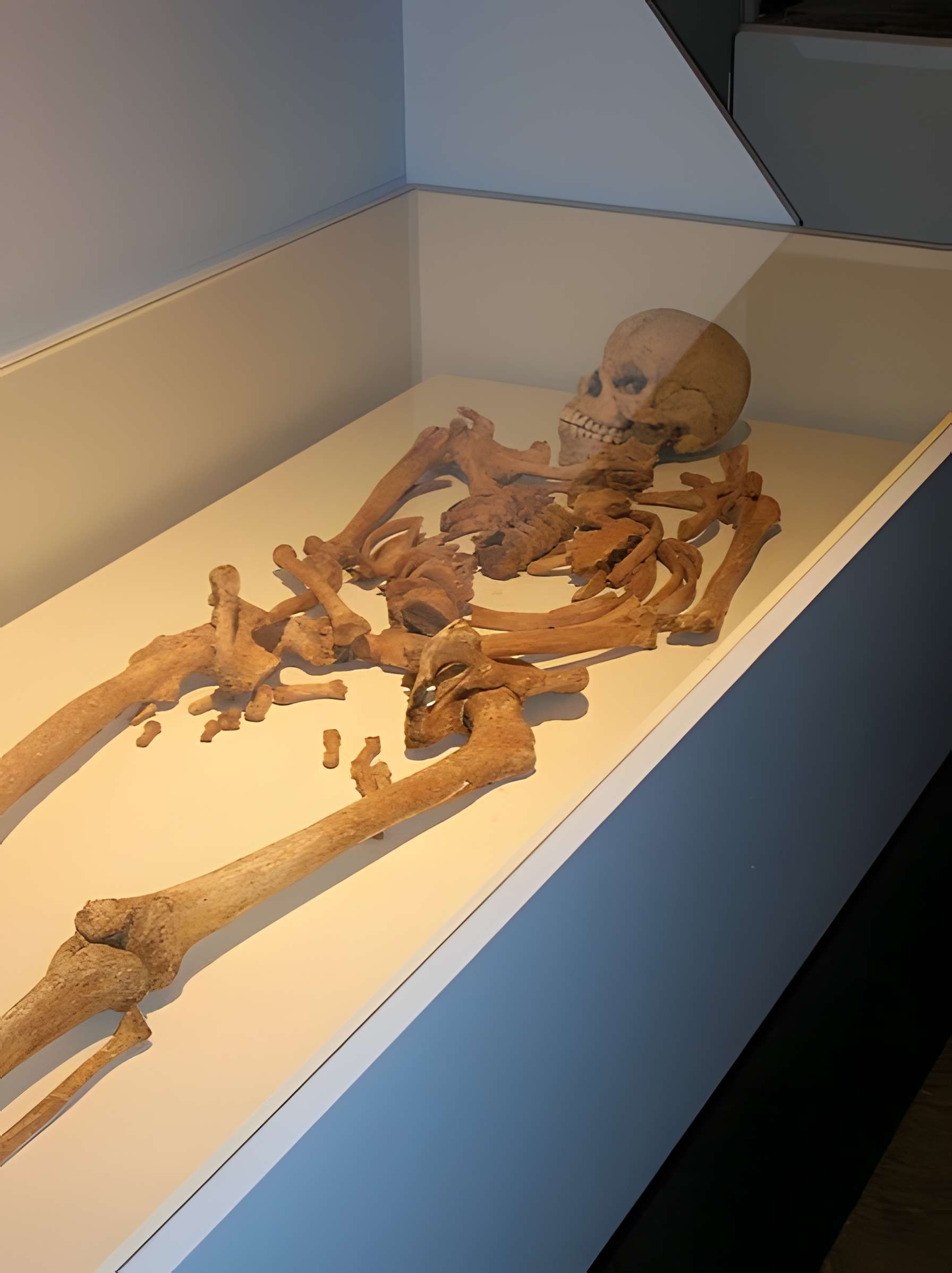 Portion du site typique d'éperon