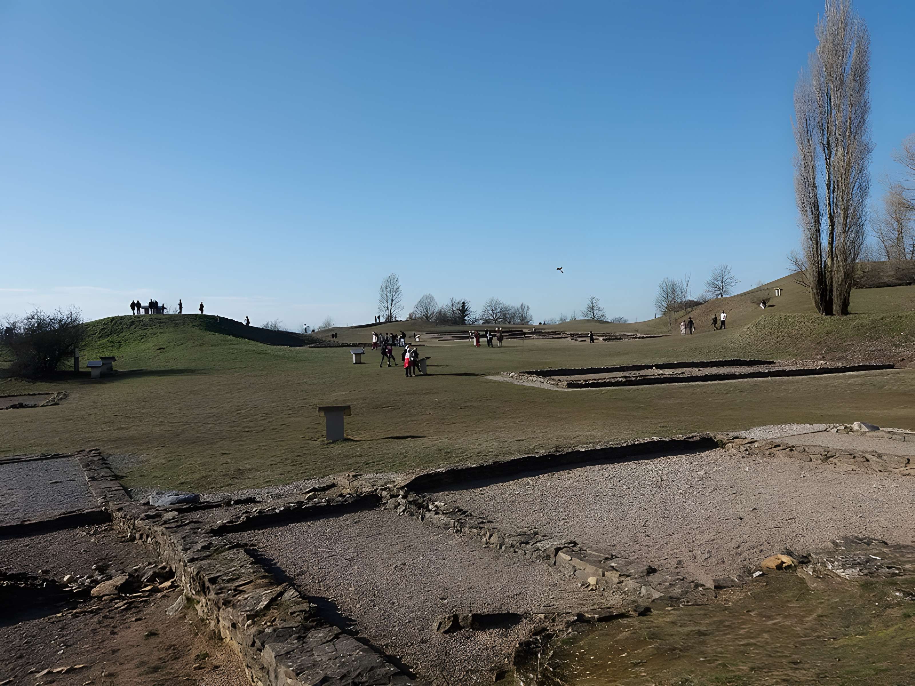 Portion du site typique d'éperon