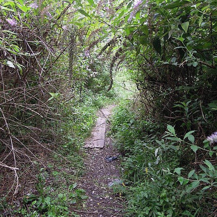 Photo de Ancienne grande fabrique