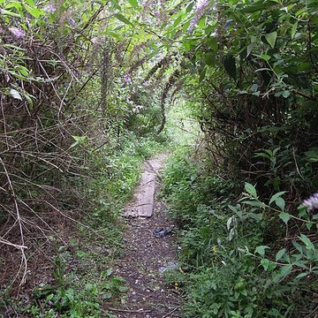 Ancienne grande fabrique