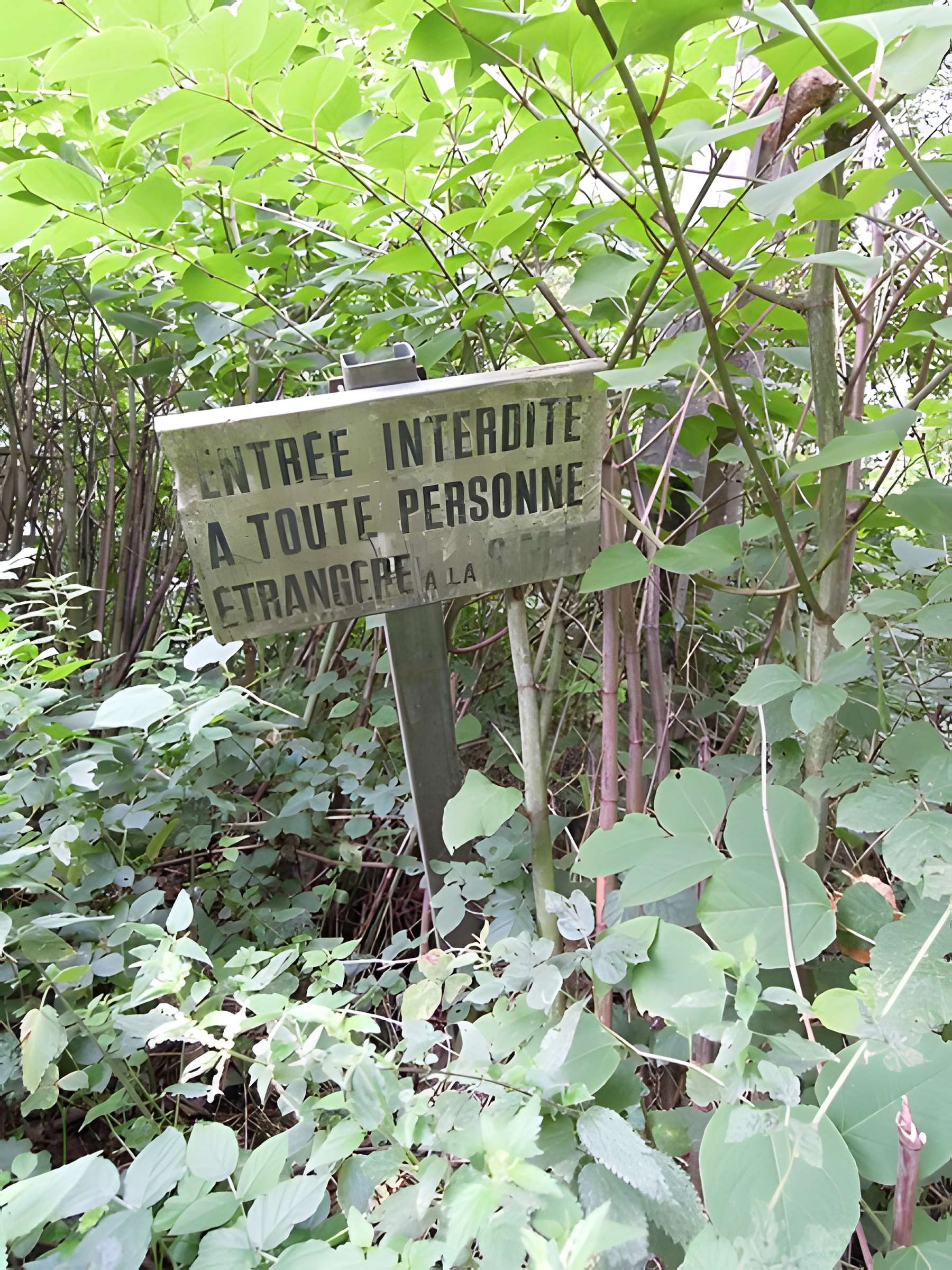 Ancienne grande fabrique