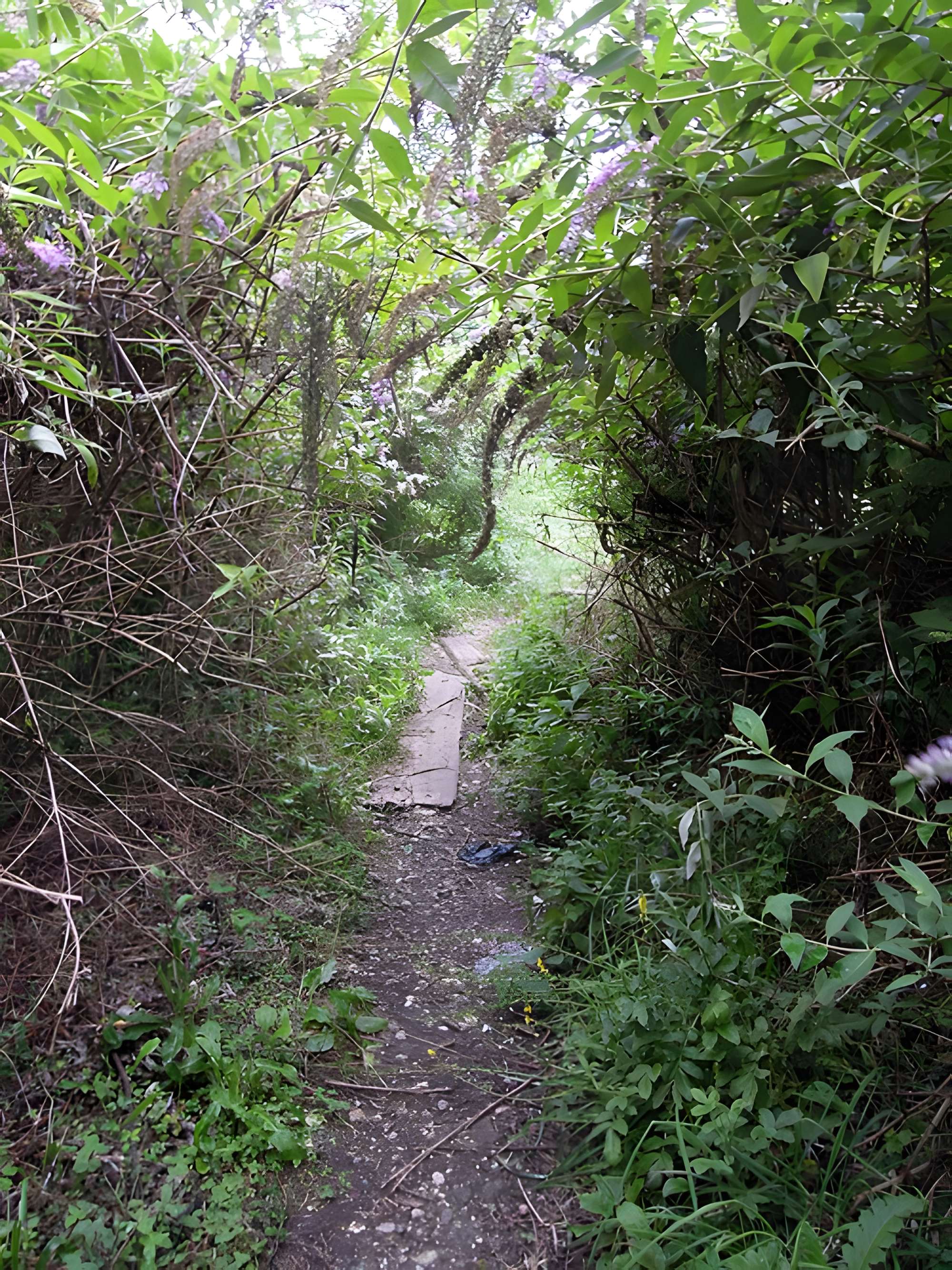 Ancienne grande fabrique