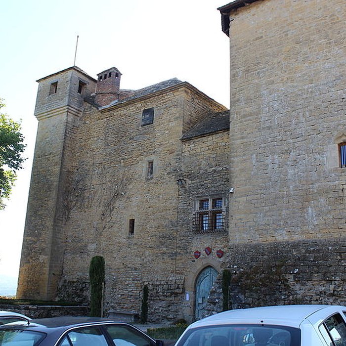 Photo de Château de Montplaisant