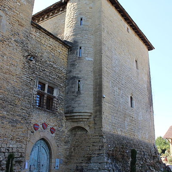 Photo de Château de Montplaisant