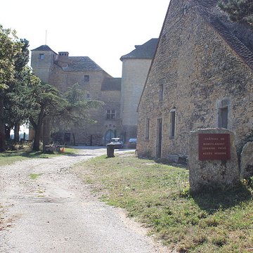 Château de Montplaisant