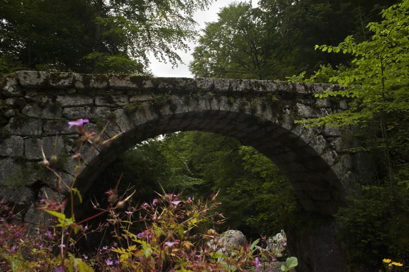 Photo de Pont de la Forge ou de la Fabrique sur le Guiers-Mort