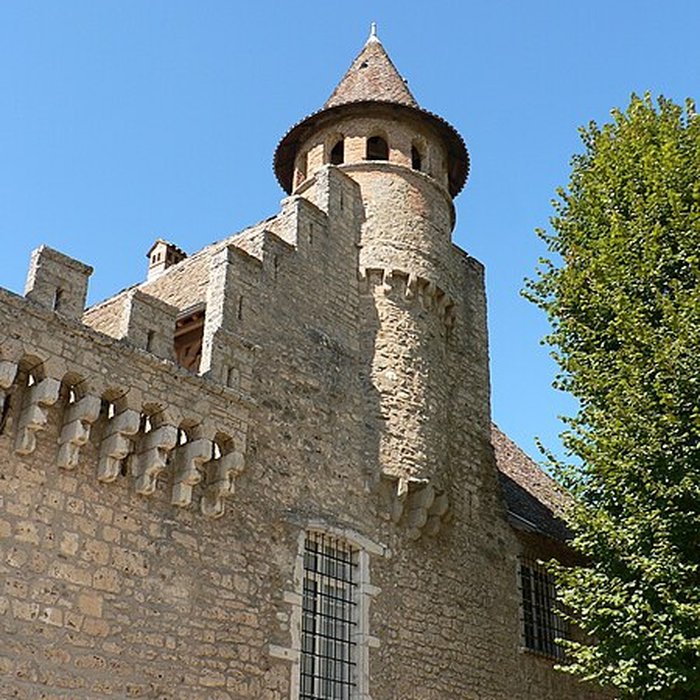 Photo de Château de Virieu