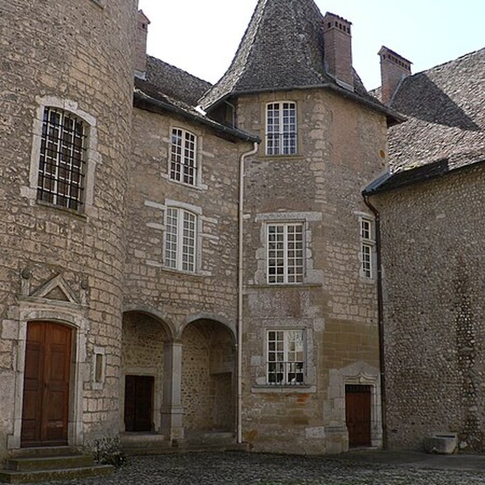 Photo de Château de Virieu