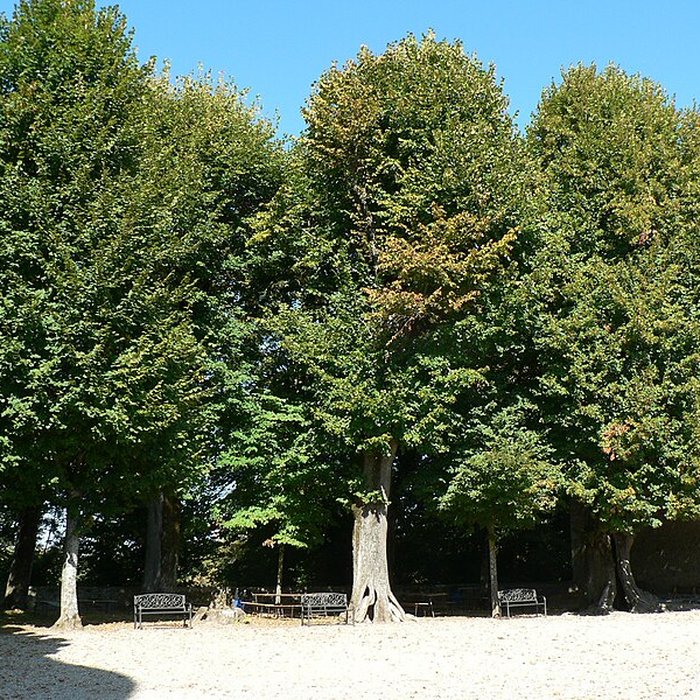 Photo de Château de Virieu