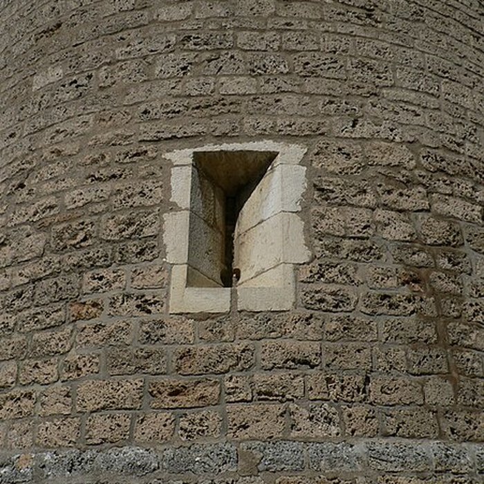 Photo de Château de Virieu