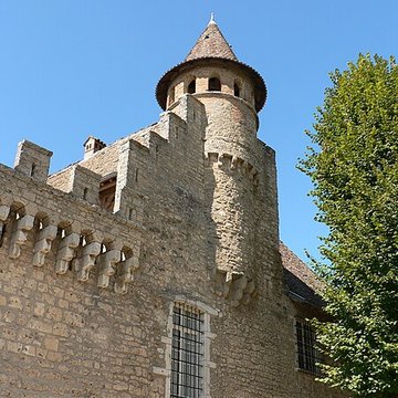 Château de Virieu