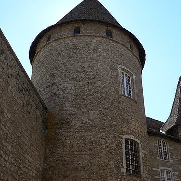 Château de Virieu